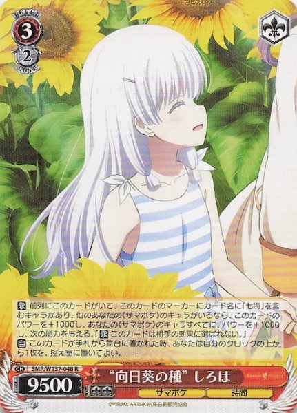 画像1: 【R】“向日葵の種” しろは　SMP/W137-048 (1)