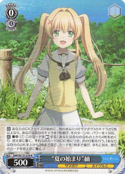 画像1: 【R】“夏の始まり”紬　SMP/W137-076 (1)