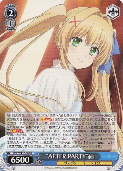 画像1: 【R】“AFTER PARTY”紬　SMP/W137-080 (1)