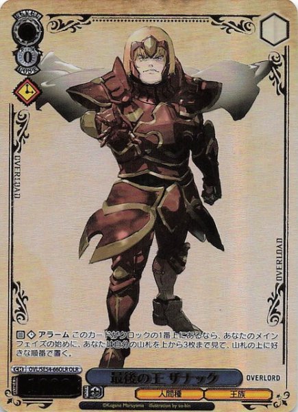 画像1: 【OLR】最後の王 ザナック　OVL/SE54-66OLR (1)