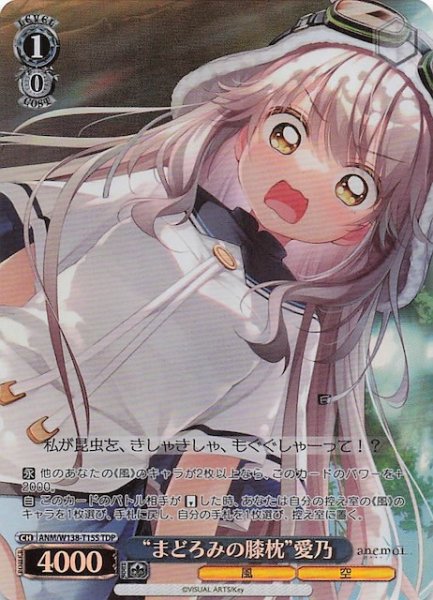 画像1: 【TDP】“まどろみの膝枕”愛乃　ANM/W138-T15S (1)