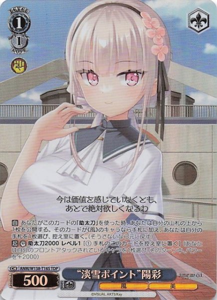 画像1: 【TDP】“淡雪ポイント”陽彩　ANM/W138-T16S (1)