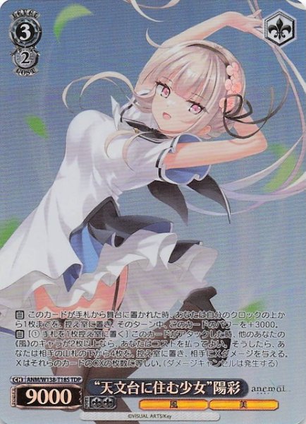 画像1: 【TDP】“天文台に住む少女”陽彩　ANM/W138-T18S (1)
