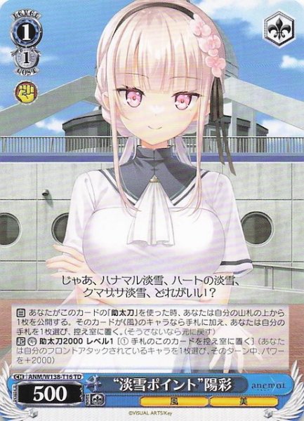 画像1: 【TD】“淡雪ポイント”陽彩　ANM/W138-T16 (1)