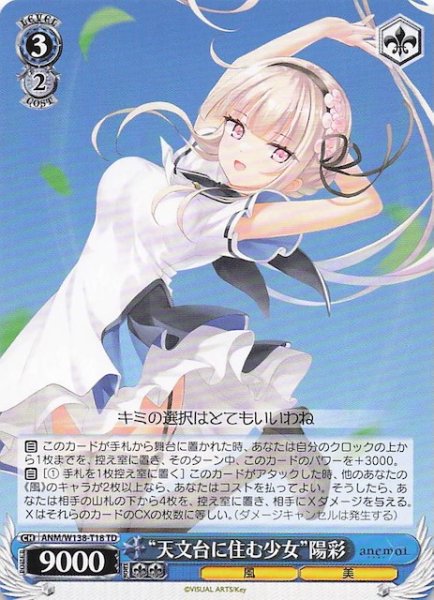 画像1: 【TD】“天文台に住む少女”陽彩　ANM/W138-T18 (1)