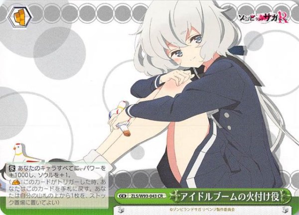 画像1: 【CR】アイドルブームの火付け役　ZLS/W93-043 (1)