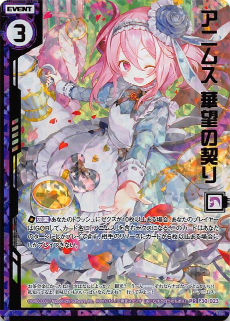 Z/X ゼクス トレカくじ A賞 アニムス